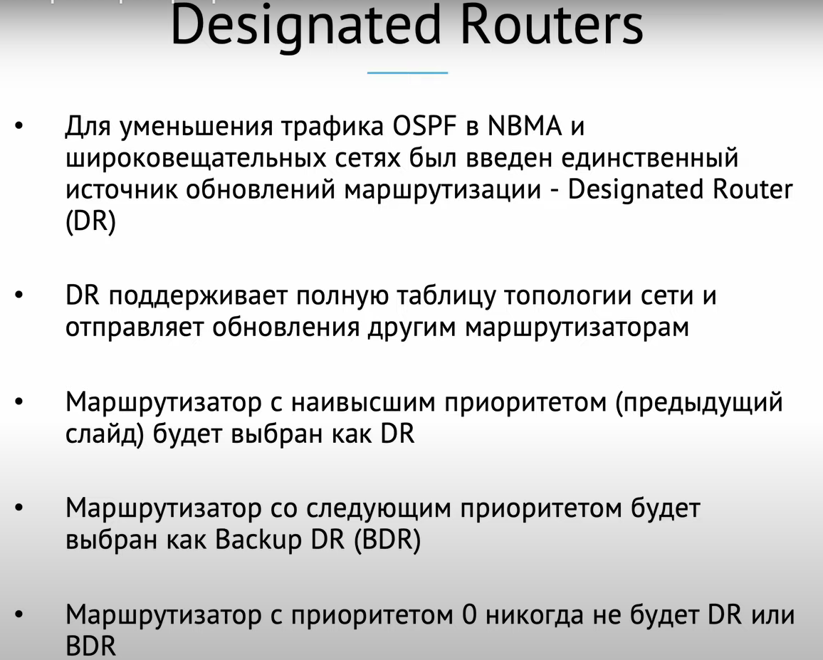 Рисунок 1- Designated Routers