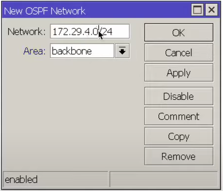 Рисунок 24- New OSPF Network